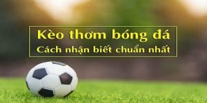 Kinh nghiệm bắt kèo thơm từ siêu cao thủ cho tân binh 