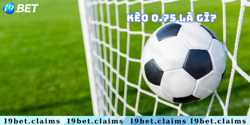 Sơ lược kèo bóng 0.75 là gì cho newbie