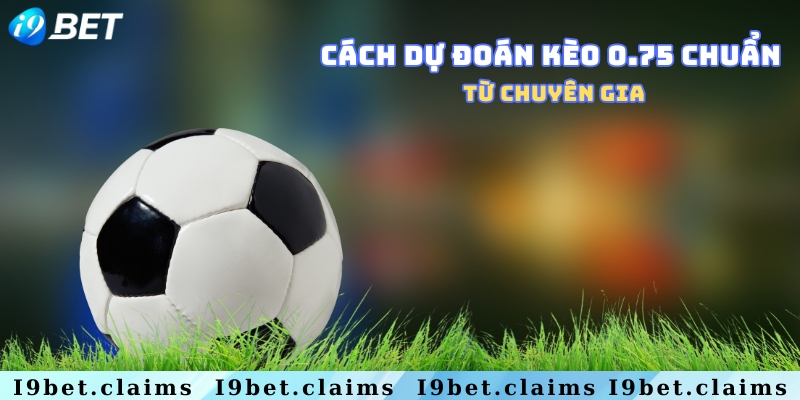 Dự đoán chuẩn kèo bóng 0.75