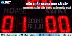 Kèo chấp score box là gì? Kinh nghiệm đặt cược siêu hiệu quả 